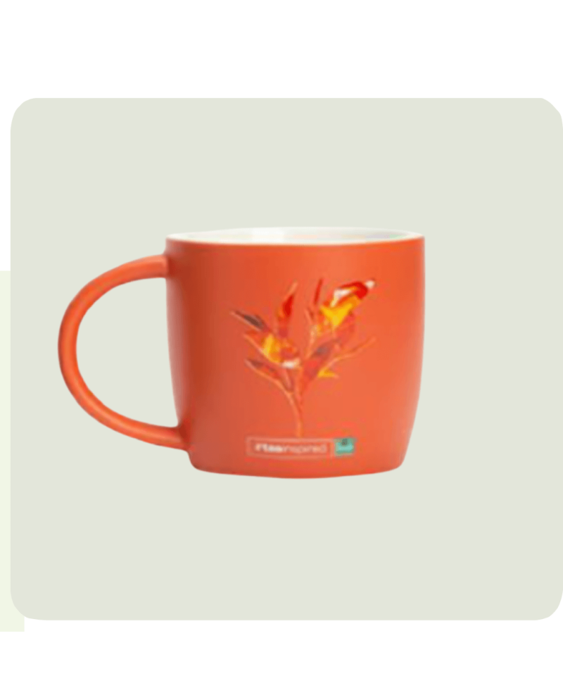 Dilmah Mug hrnek oranžový 350ml