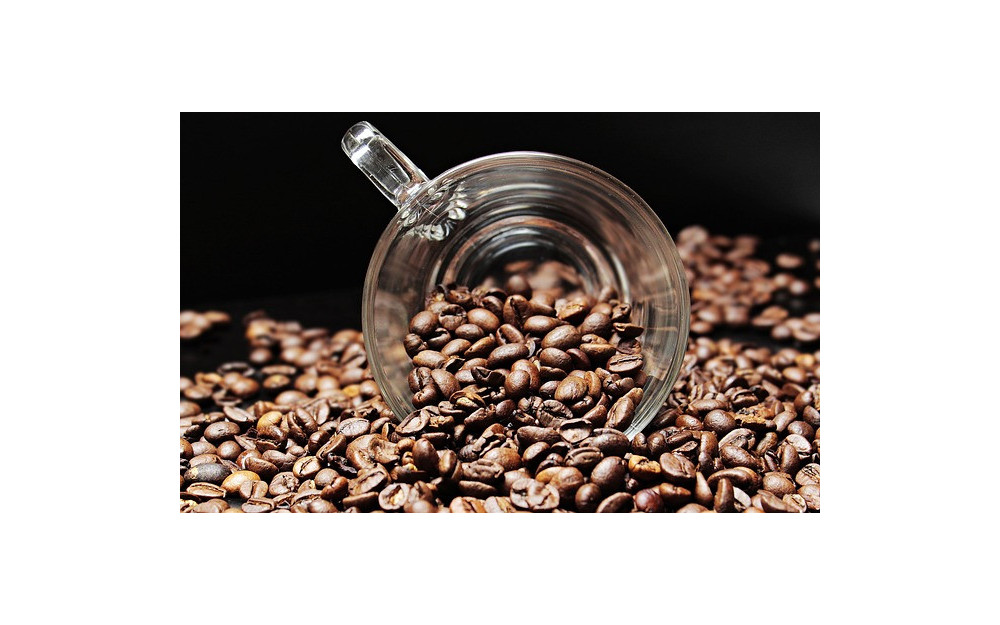 Průvodce světem italských kávových zrn: Arabica vs. Robusta